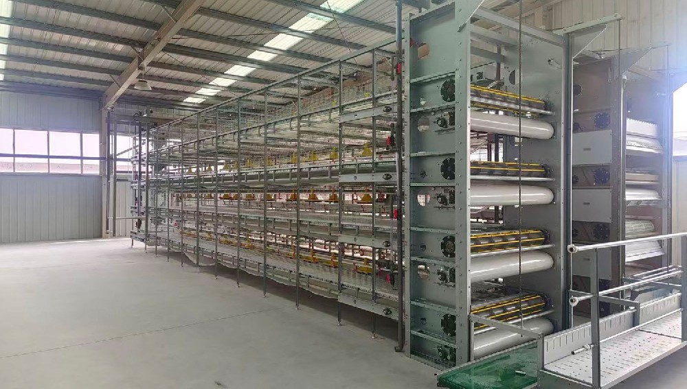 Chain Auto Harvest Cage