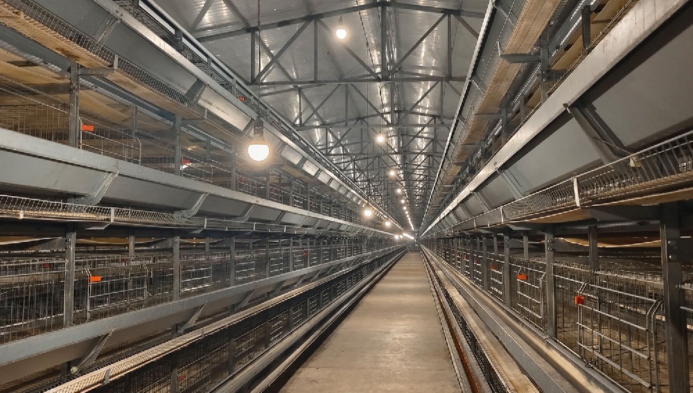 Feeding Cart Layer Cage (H)